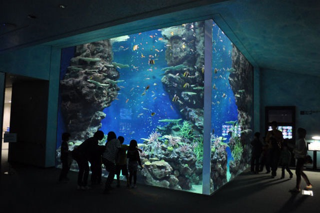 しまね海洋館アクアス