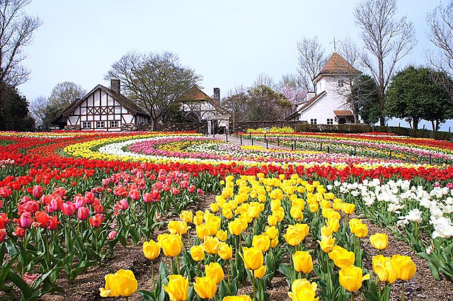岡山農業公園ドイツの森クローネンベルク